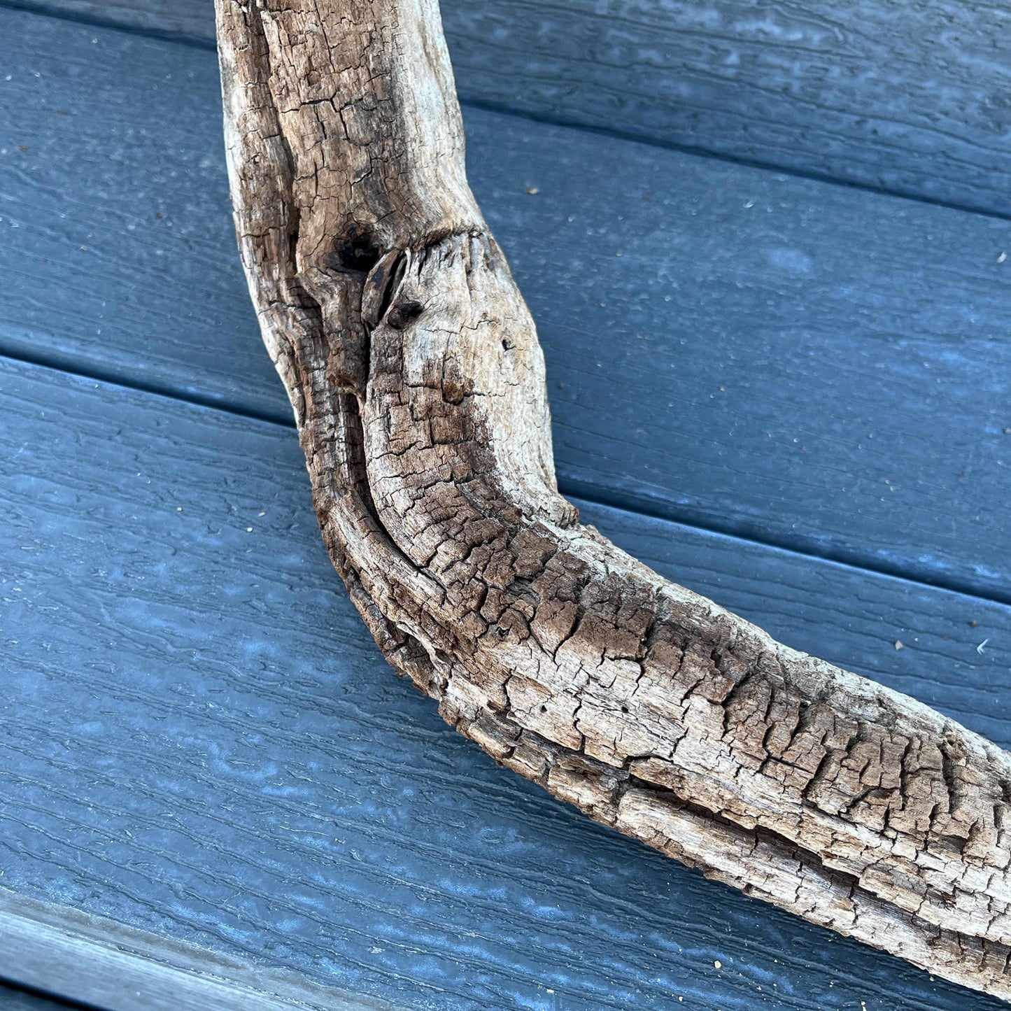 Driftwood Tree Root for Reptile Tank, Bearded Dragon Accessories, Snake Supplies, 25" Wood For Lizards, Gift for Reptile, Climbing Log