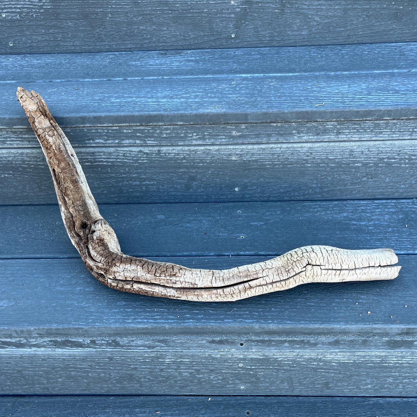 Driftwood Tree Root for Reptile Tank, Bearded Dragon Accessories, Snake Supplies, 25" Wood For Lizards, Gift for Reptile, Climbing Log