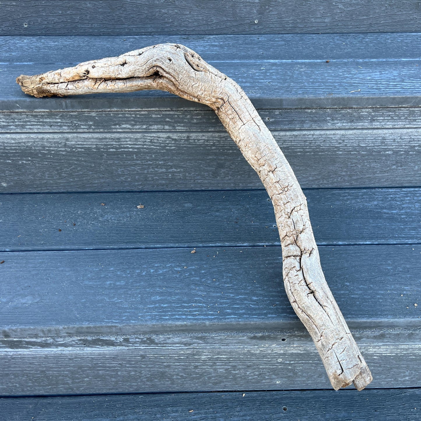 Driftwood Tree Root for Reptile Tank, Bearded Dragon Accessories, Snake Supplies, 25" Wood For Lizards, Gift for Reptile, Climbing Log
