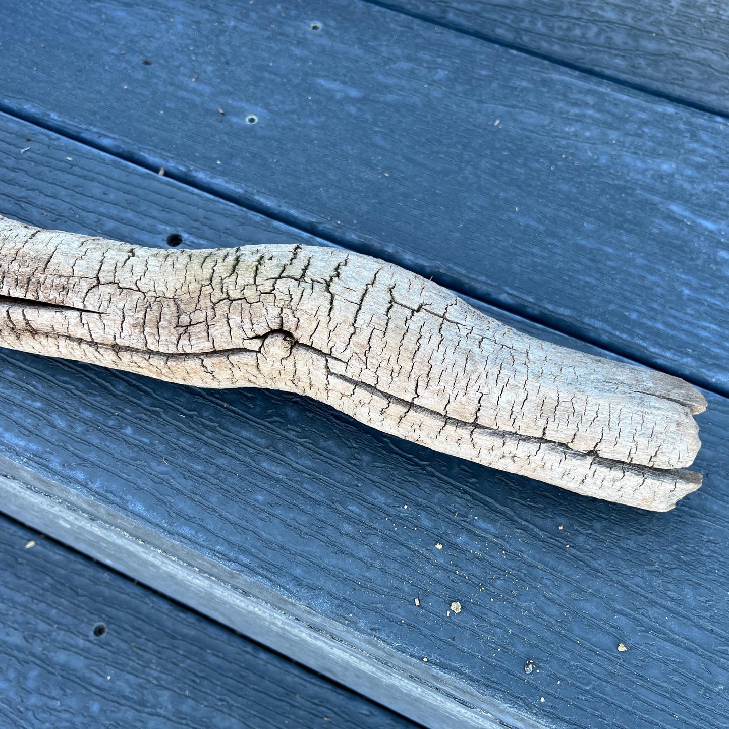 Driftwood Tree Root for Reptile Tank, Bearded Dragon Accessories, Snake Supplies, 25" Wood For Lizards, Gift for Reptile, Climbing Log