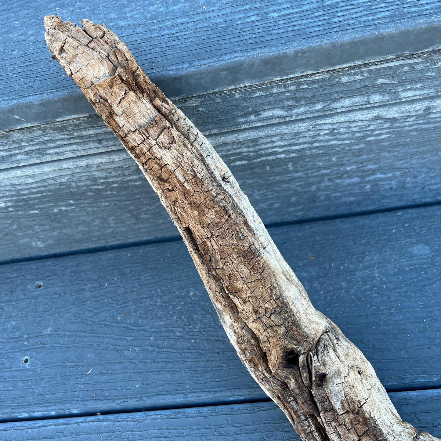 Driftwood Tree Root for Reptile Tank, Bearded Dragon Accessories, Snake Supplies, 25" Wood For Lizards, Gift for Reptile, Climbing Log