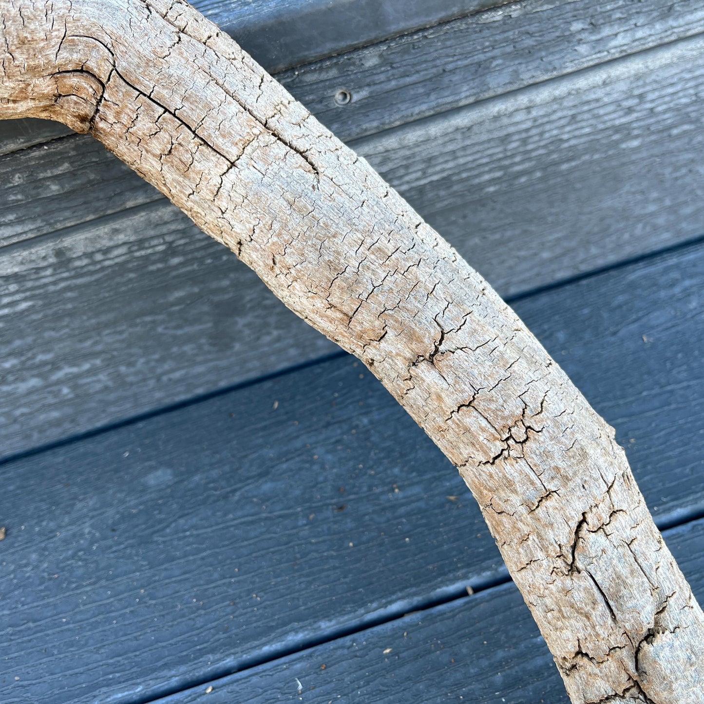 Driftwood Tree Root for Reptile Tank, Bearded Dragon Accessories, Snake Supplies, 25" Wood For Lizards, Gift for Reptile, Climbing Log