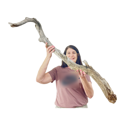 Extra Long Driftwood Branch for Reptile Tank, Chameleon Accessories, Reptile Supplies, 40" Wood For Snakes, Gecko Wood Branch, Reptile Gift