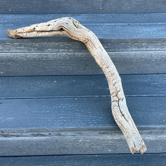 Driftwood Tree Root for Reptile Tank, Bearded Dragon Accessories, Snake Supplies, 25" Wood For Lizards, Gift for Reptile, Climbing Log