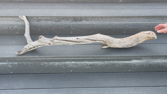 Extra Long Driftwood Branch for Reptile Tank, Chameleon Accessories, Reptile Supplies, 40" Wood For Snakes, Gecko Wood Branch, Reptile Gift